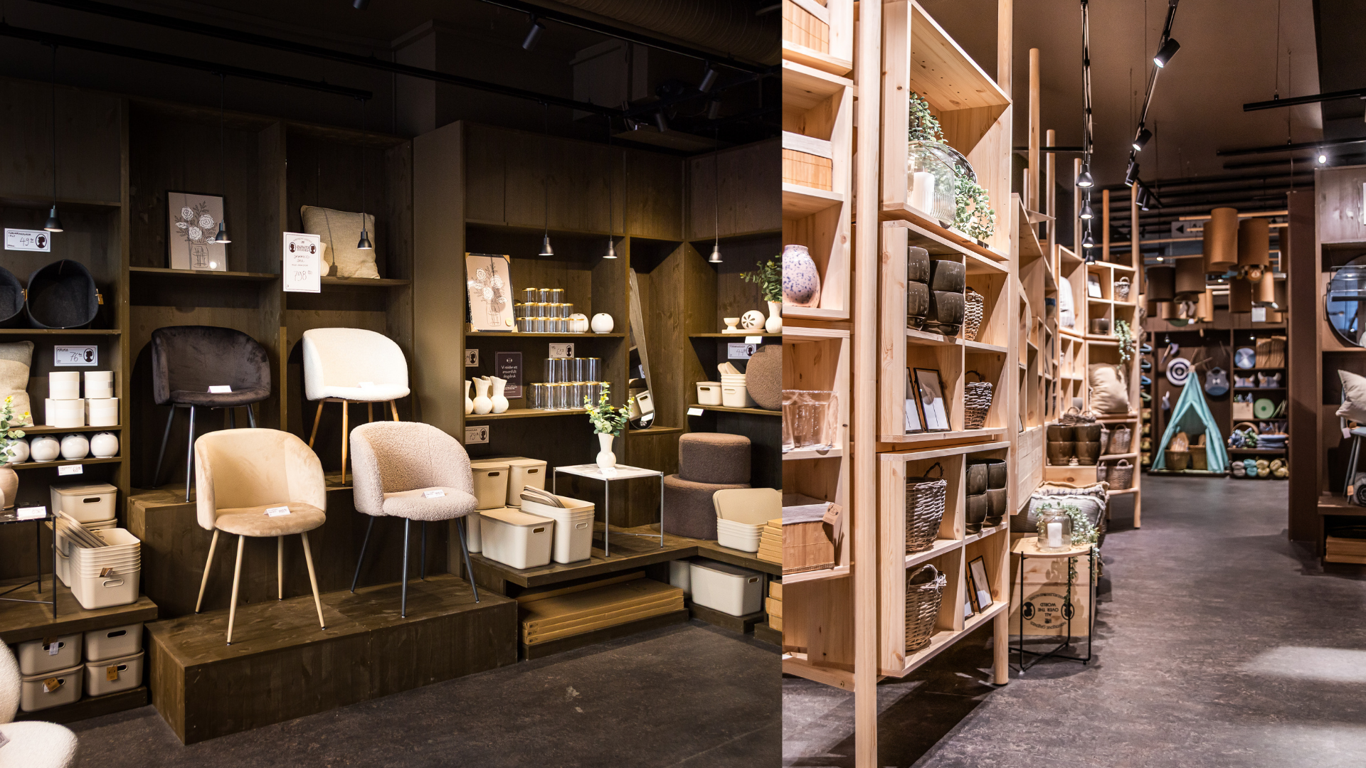 Growth Stories Sostrene 2